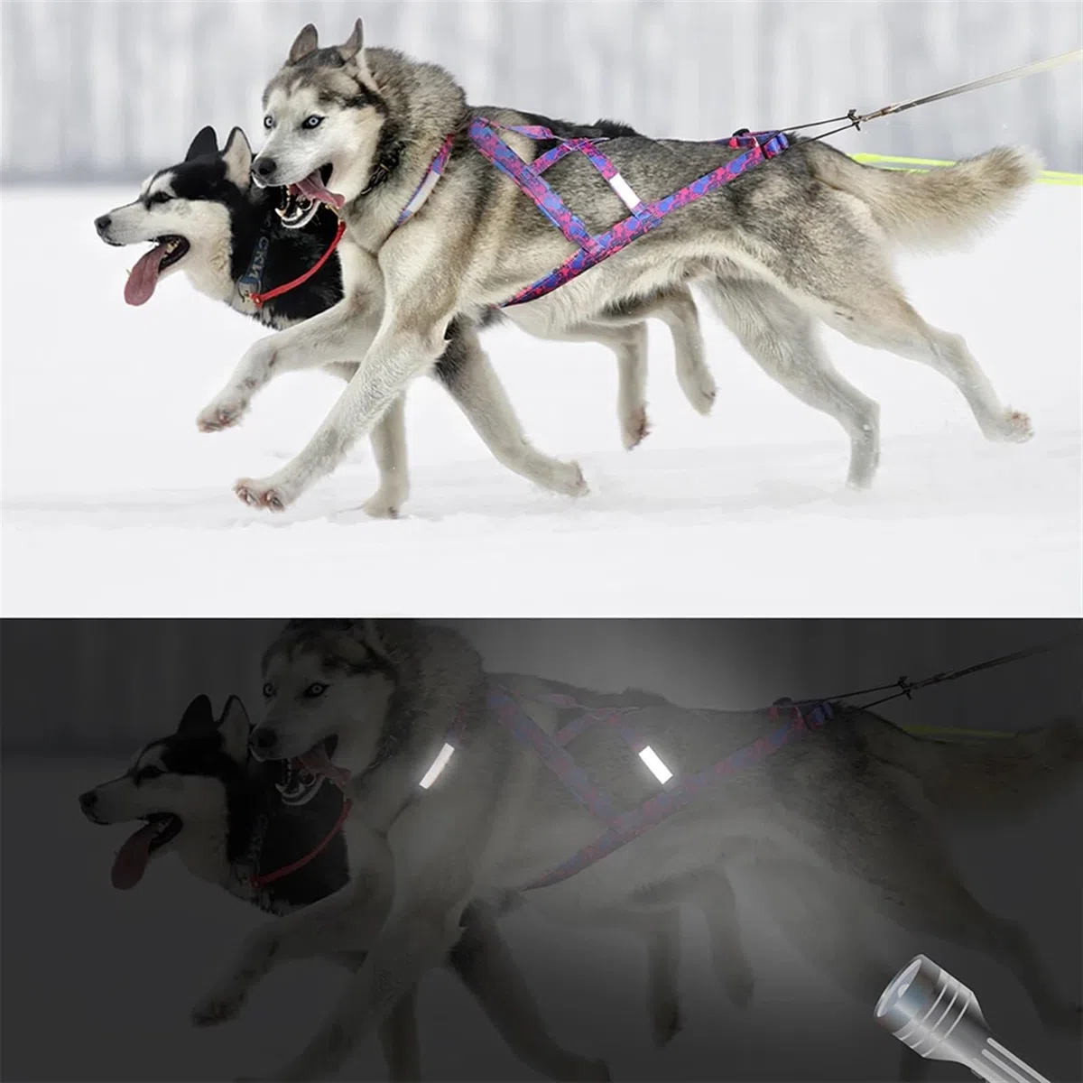 Arnés reflectante for trineo de perros, ajustable, for perros grandes, con capacidad de tracción, for trineos de mascotas, for perros medianos y grandes, for esquiar y esquiar Arnés deportivo para per