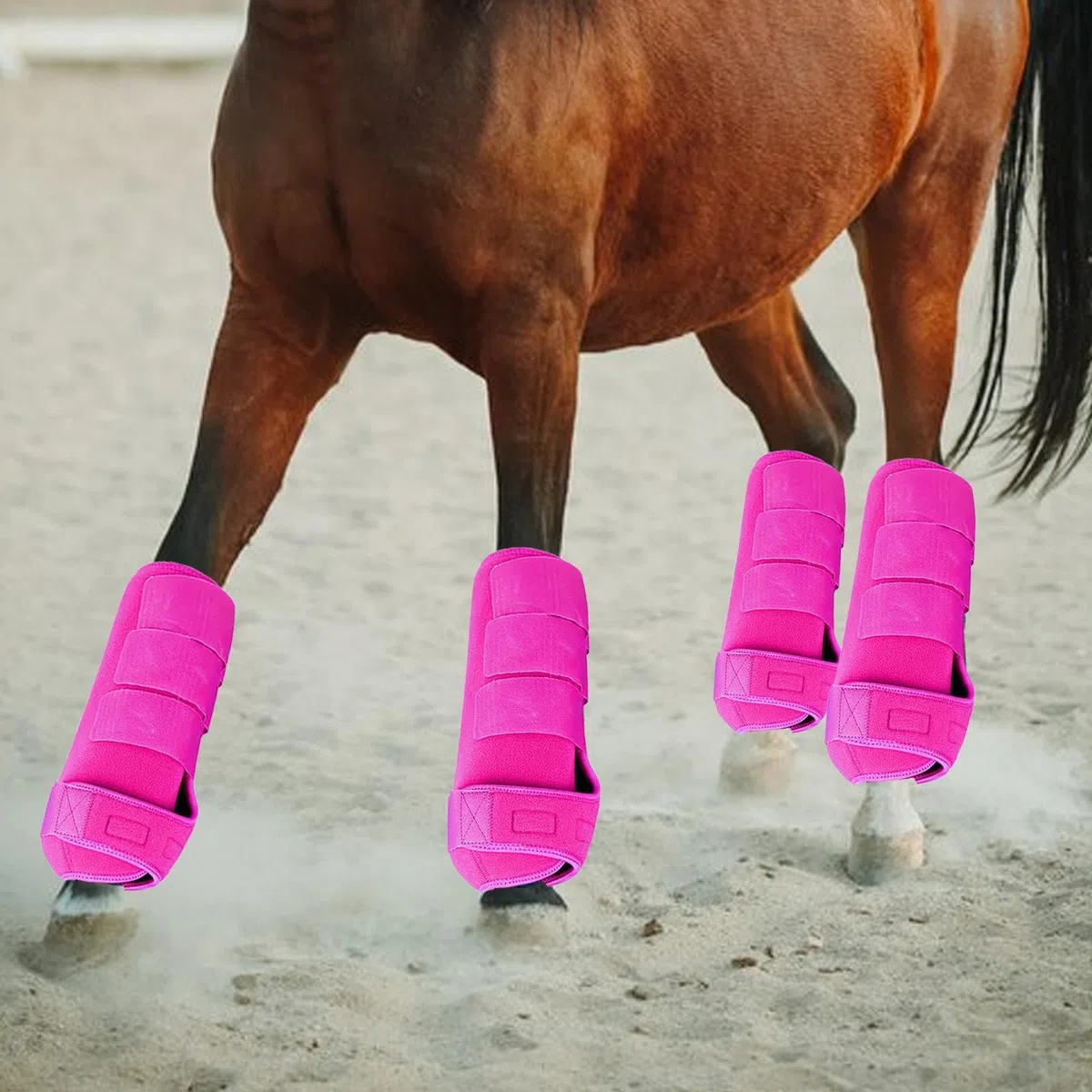 Conjunto de Protección para Las Piernas de 4 Piezas para Botas de Caballo, Ajustable, Cómodo, de Neopreno, Transpirable, Protección para Las Piernas P