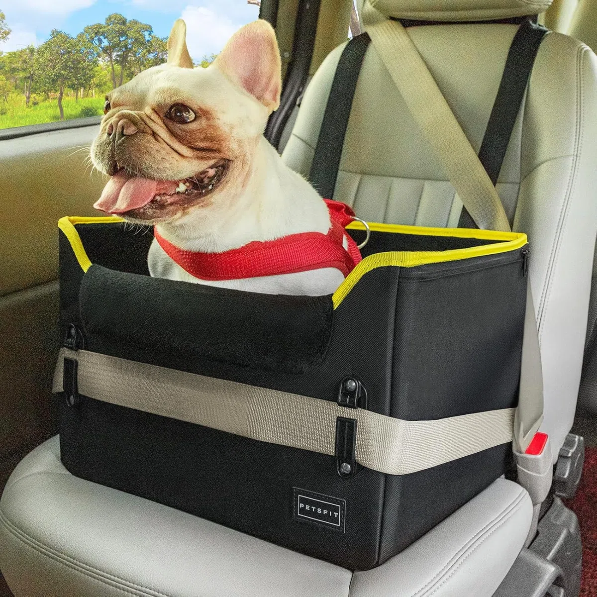 Petsfit Asiento Coche Perro Pequeño Plegable, Bolsa Asiento Elevadora para Coche para Mascotas, para Perros Pequeños