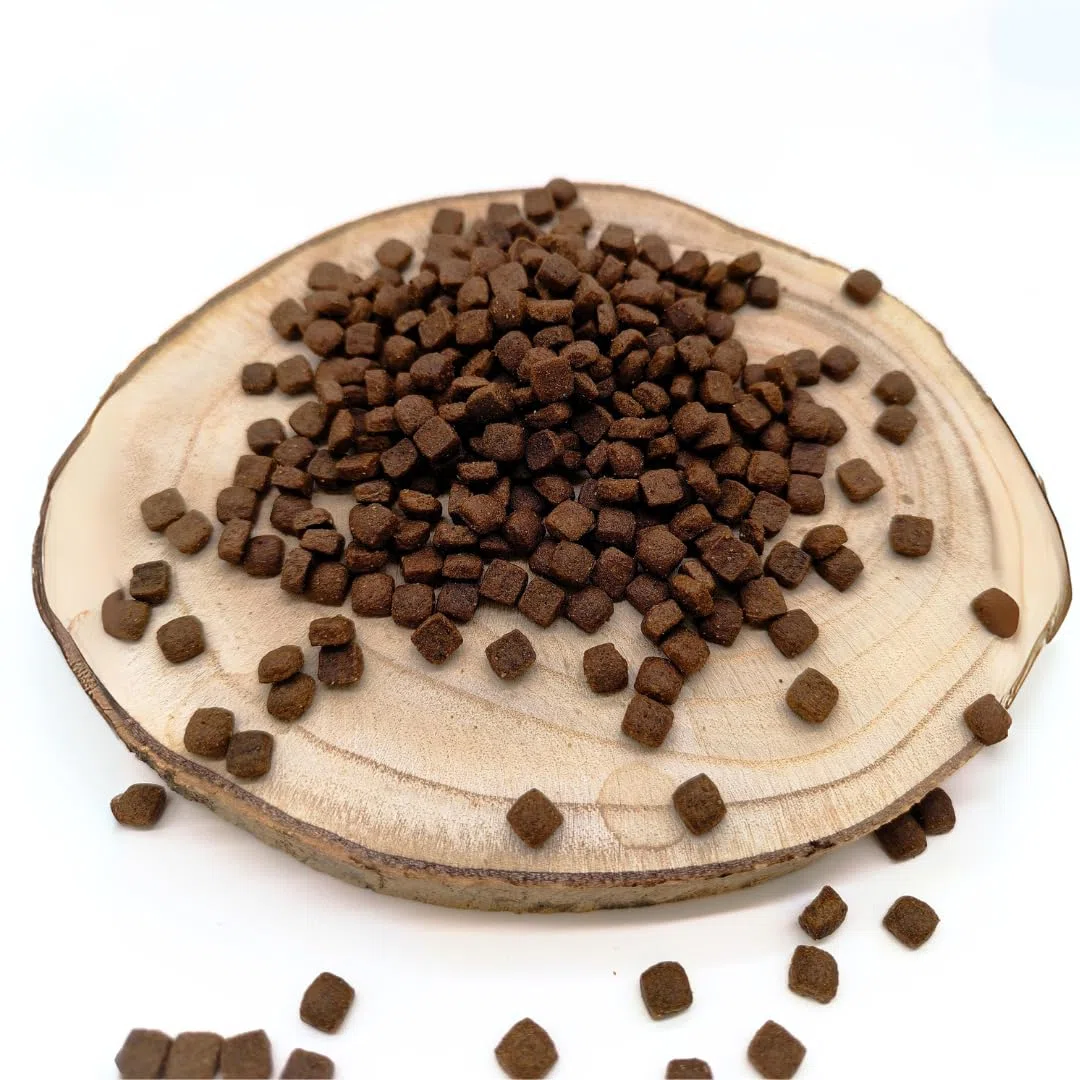 Pienso Grain Free para Perros de Razas Pequeñas - Carne Fresca de Pollo y Salmón | Fórmula Completa para Perros Adultos | 10 kg | Nutrición Balanceada y Sin Cereales