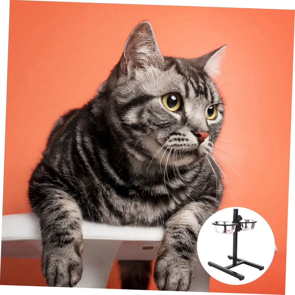 Housoutil Comedero para Perros Elevado 2 Cuencos de Acero Inoxidable, Regulable en Posición, Base Estable para Perros y Gatos