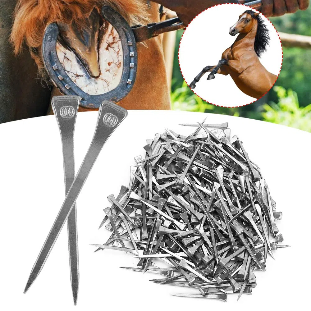 250 Clavos de Herradura, Clavijas de Pezuña de 5,4 Cm para Asegurar Firmemente Al Caballo con una Fabricación Precisa