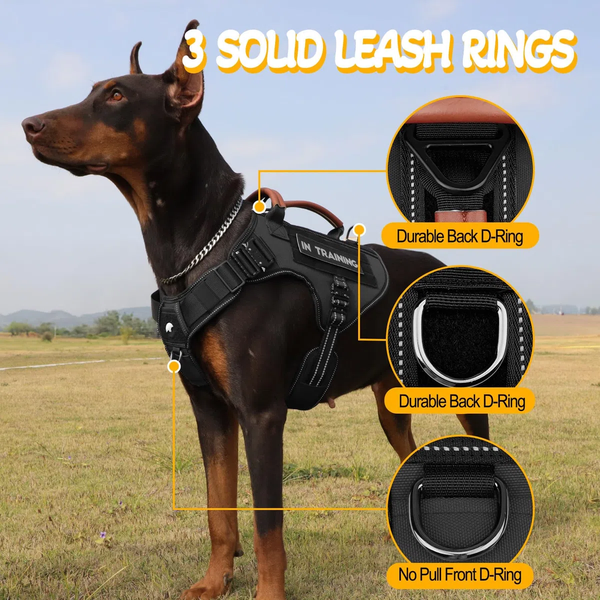 Arnés táctico para perros de servicio para perros medianos y grandes (negro, M)