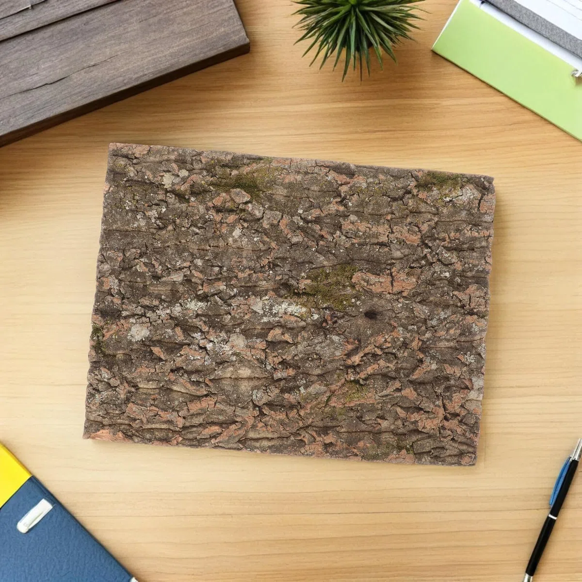 Fondo Natural de Corteza de Corcho para Reptiles, Decoración para Terrario Pared de Escalada, Accesorio de 2 Piezas para Hábitat de Reptiles