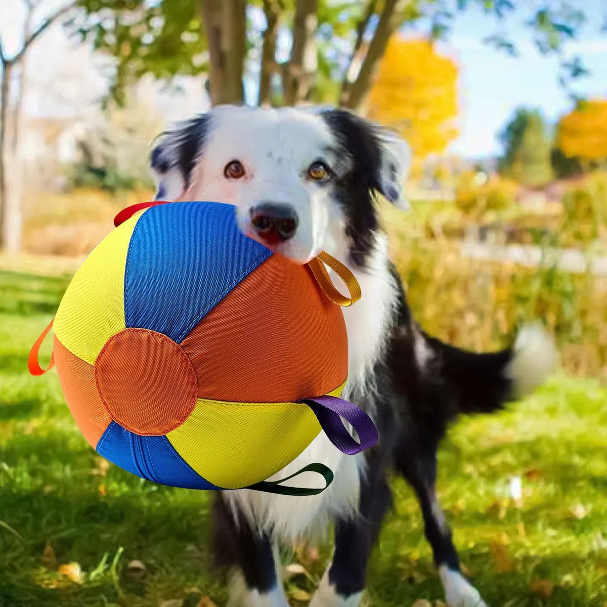 Pelota de Perro Resistente Mordeduras, Ejercicio Portátil, Juego