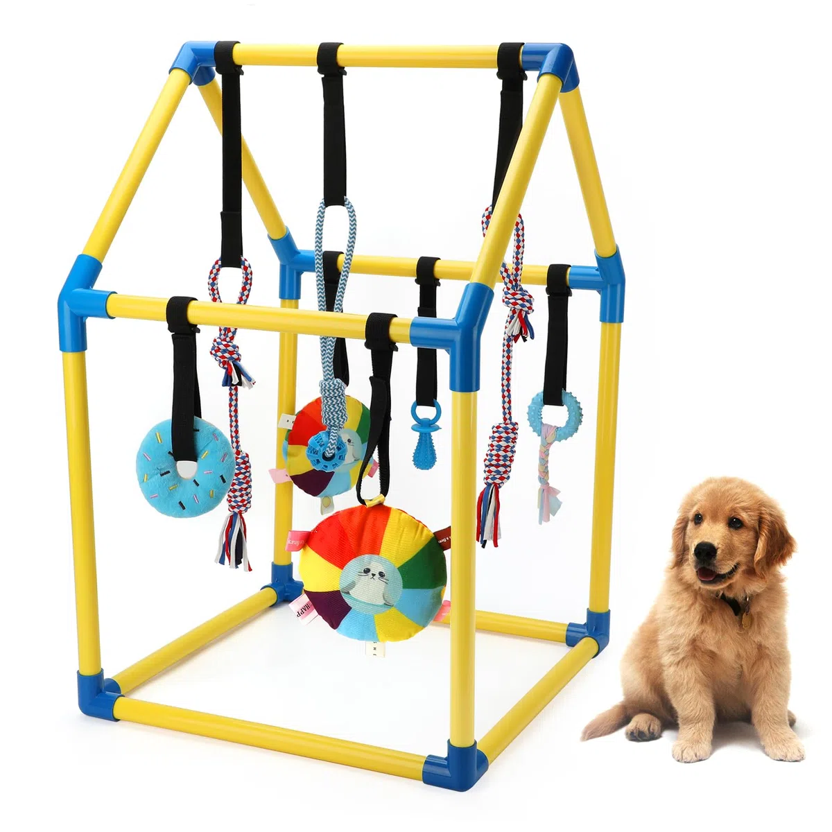 Gimnasio de juego para cachorros con 8 juguetes colgantes, juguetes de gimnasio de selva para perros pequeños con marco de PVC, juguete interactivo para cachorros con correas elásticas para