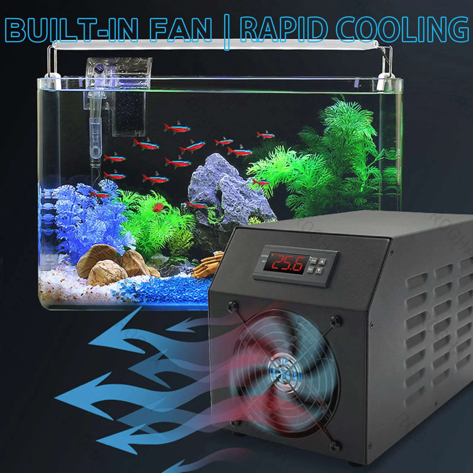 Enfriador para acuarios, Enfriador termostático semiconductor para acuarios de Coral domésticos, diseño silencioso y de bajo Consumo, Funcionamiento Sencillo, 200 W Cooling