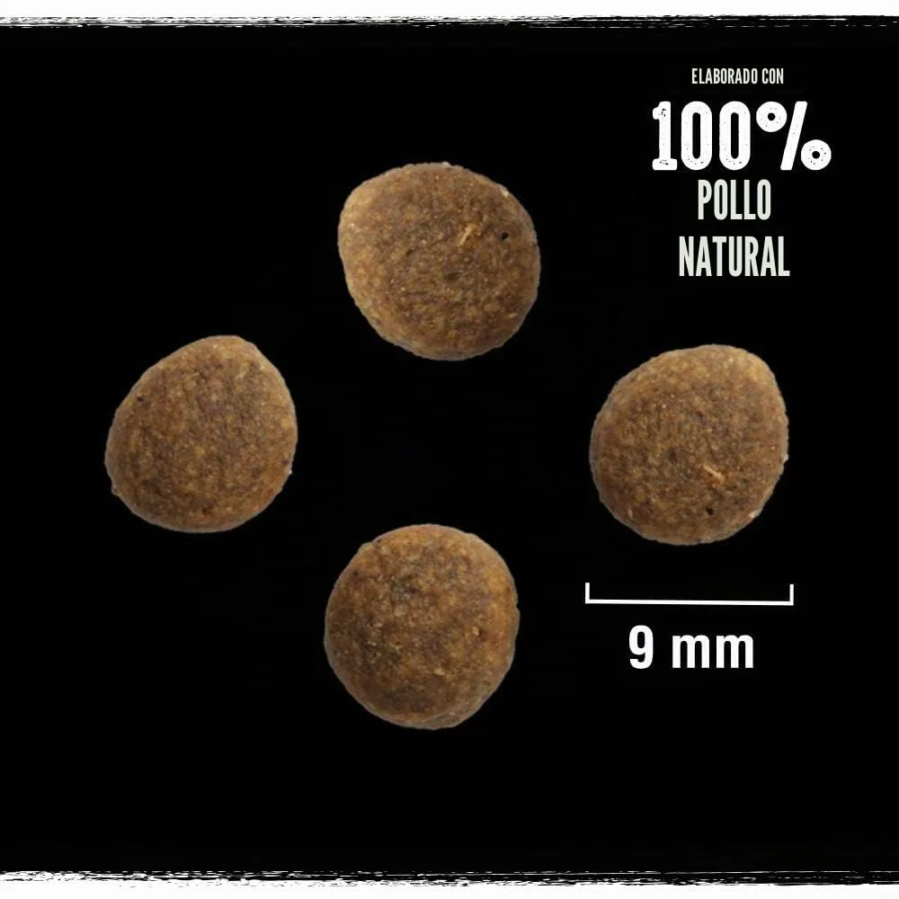 Crave Alimento seco para Adultos con Pavo y Pollo, 7 kg (1 Bolsa) – Comida para Gatos Premium Seca con Alto Contenido de proteínas y sin Cereales – Fabricado con Pollo 100% Natural