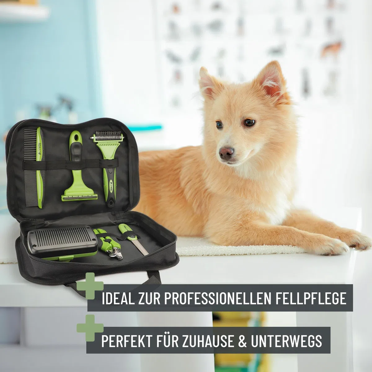 ReaVET Juego de 6 cepillos profesionales para perros y gatos, cepillo para perros y gatos, cepillo para perros y gatos, cepillo para fieltrado, cepillo para debajo del pelo, peine para pulgas, tijeras