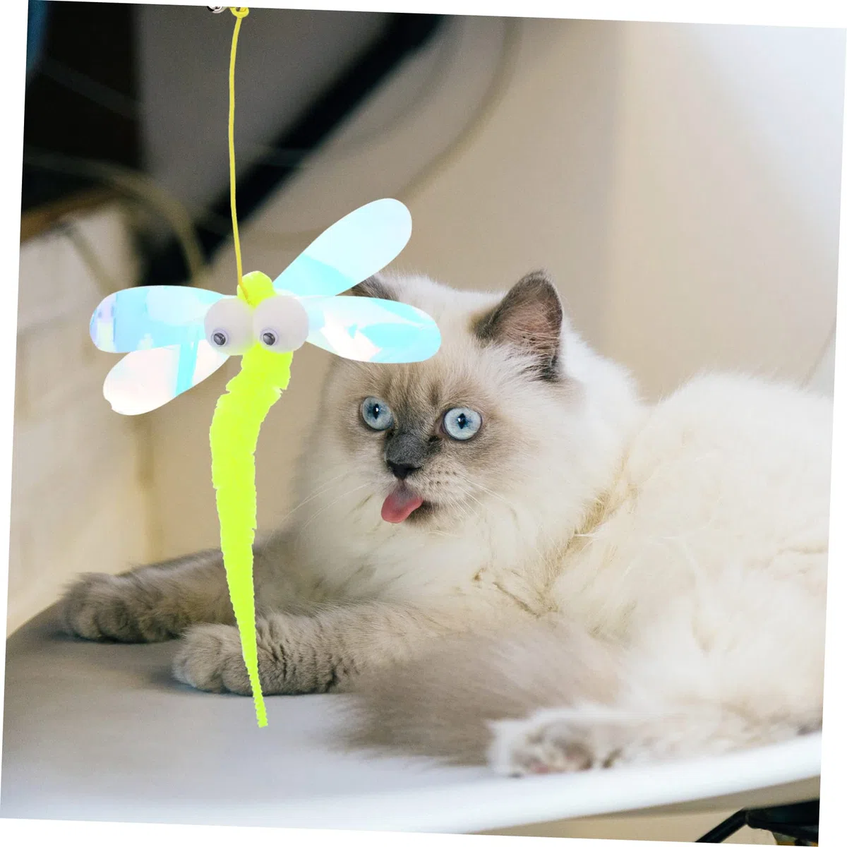 Happyyami 10 Piezas Gato Jugando en Columpio Juguete para atrapar Mascotas Juguetes para Gatos Colgantes de Interior Juguetes para Perros pequeños Juguetes domésticos para Puertas de Gatos