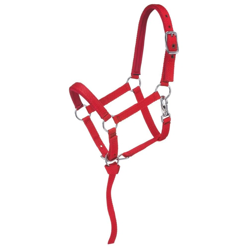 Tough 1 Cabestro en Miniatura Acolchado de Nailon