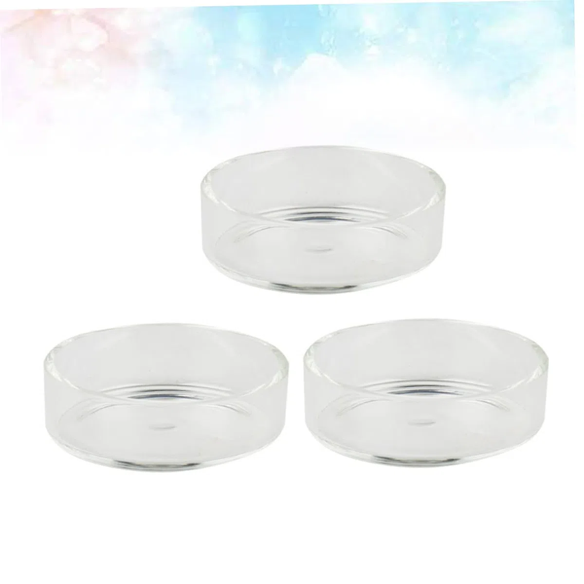 Didiseaon 2 Juegos de Cuencos Redondos de Vidrio para Camarones Comederos para Camarones Suministros para Acuario Adornos de Cristal para Tanque de Camarones 5 Piezas