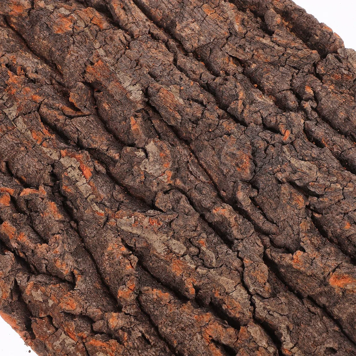 SHINEOFI 3 Piezas de Corteza de Árbol para Reptiles 30x20 Cm, Plataforma Natural para Trepar y Decorar Terrarios, Adorno Seguro y Duradero para Lagartos, Geckos y Dragones Barbudos