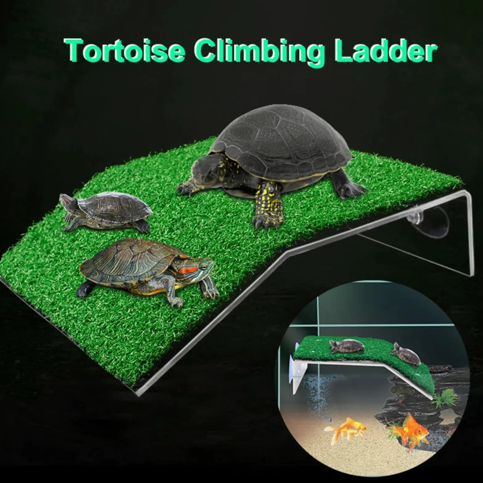 Turtle Basking Platform - Rampa de césped artificial flotante | Accesorio de terrario para reptiles y anfibios | PP no tóxico con ventosas fuertes S/M/L