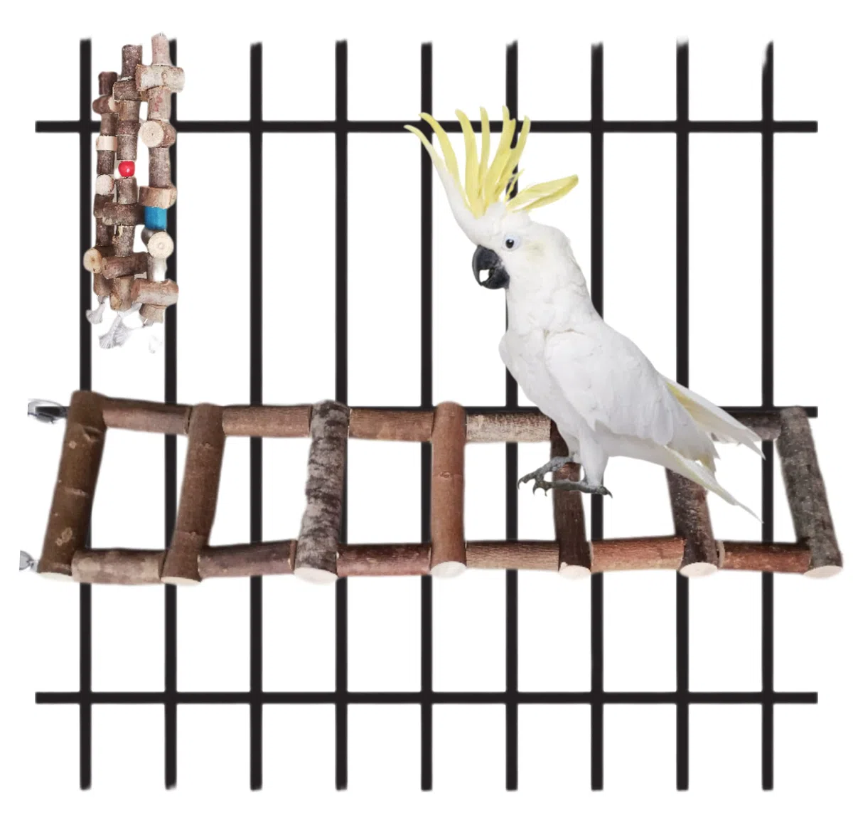 Escaleras para jaulas y voladeras de loros, juguete puente aviario de pájaros, percha natural colgante de aves agaporni, ninfa, accesorio guacamayo, yaco, conures, CALIDAD PREMIUM. (voladeras, P/M)