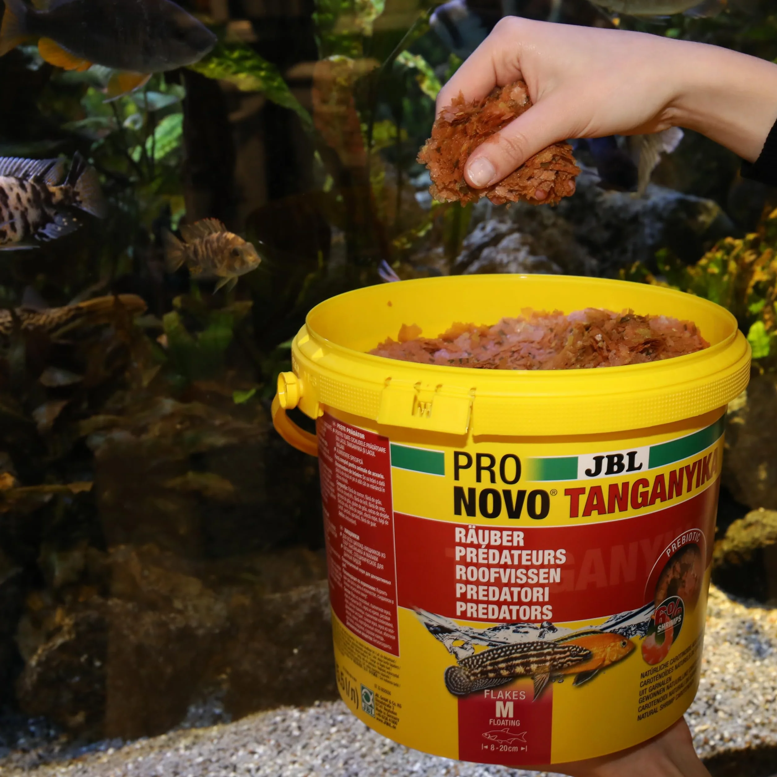 JBL PRONOVO TANGANYIKA Flakes, alimento Principal para Todos los cíclidos de 8-20 cm, Copos de Comida para Peces, Talla M, 5500 ml
