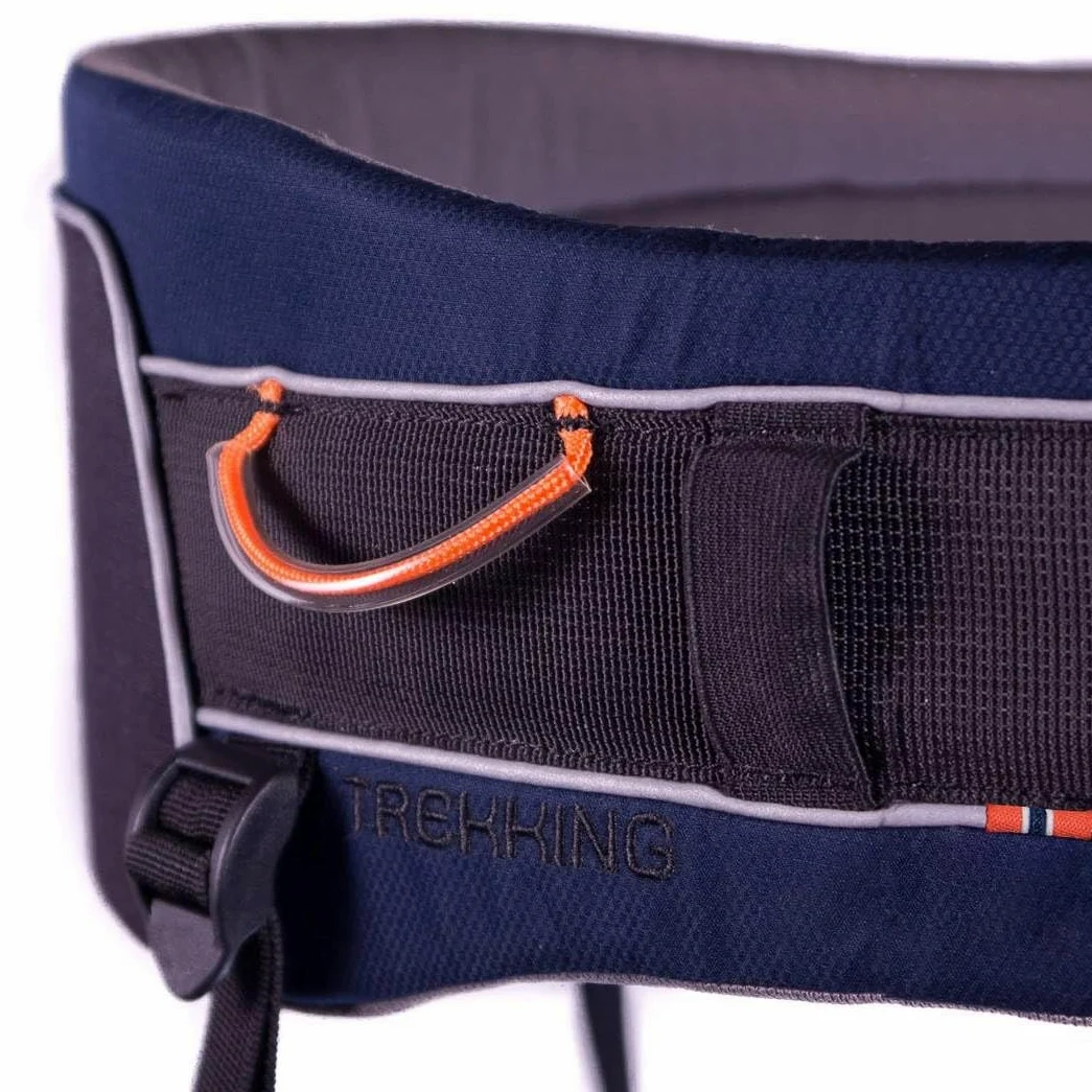 Cinturón de Trekking Nonstop para Perros - Ideal para Correr y Senderismo (M, Azul)