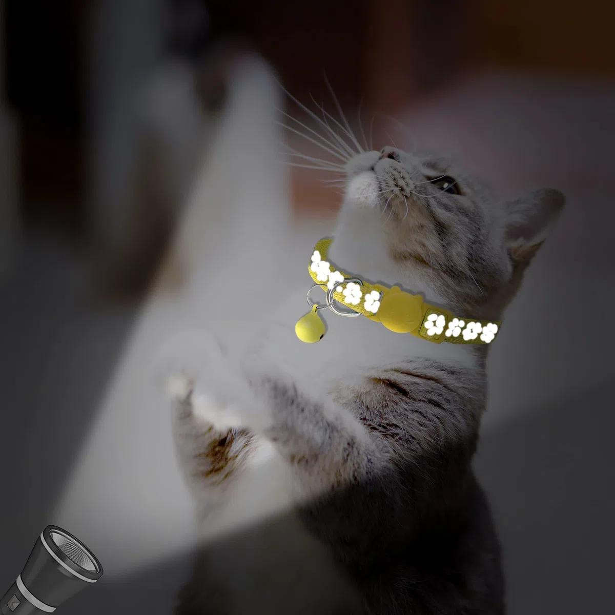 Paquete de 2 collares reflectantes para gatos con campana, collares personalizados para gatitos, collar de hebilla de seguridad ajustable para gatos machos, niñas y niños (amarillo)