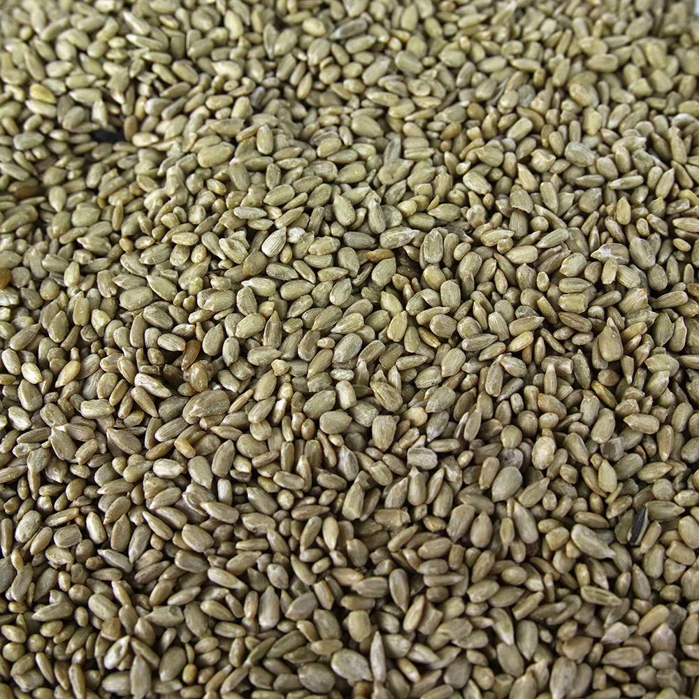 SQUAWK Corazones de Girasol - Semillas de Grado de Panadería Sin Desperdicio para Alimentar Aves Silvestres (12.5kg)