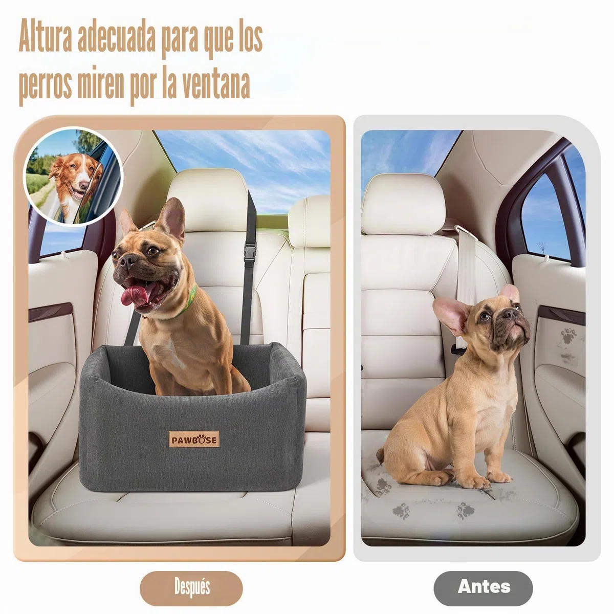 Asiento de Coche para Perros medianos de hasta 15 kg,Asiento Elevador para Perros con cinturón de Seguridad, Cama de Viaje para Mascotas con Funda extraíble y Lavable