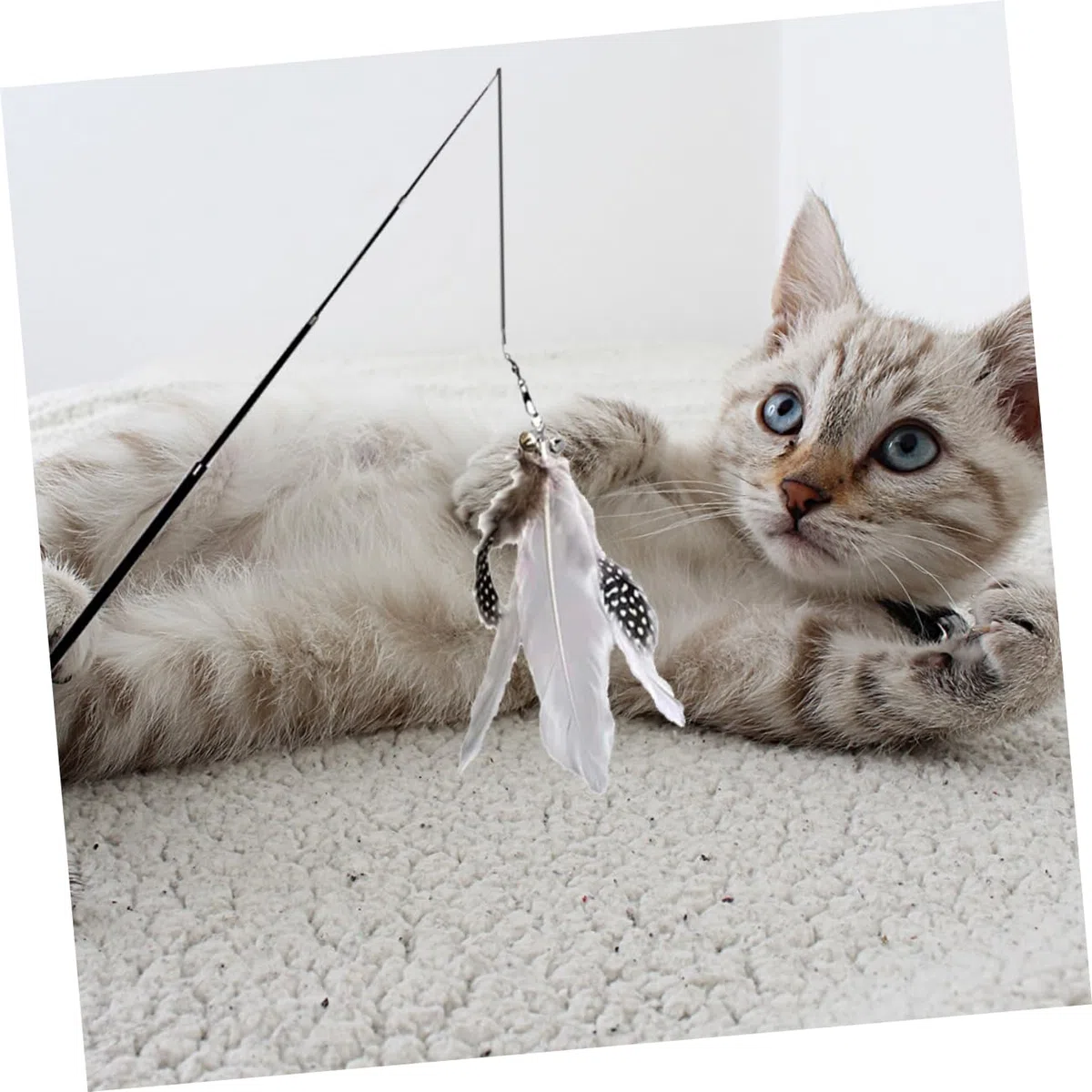 FRCOLOR 3 Juegos De Juguetes Telescópicos para Gatos Juguetes Interactivos De Interior para Gatos Ejercicio De Curiosidad Caña De Pescar Juguete para Mascotas 2 Piezas X 3
