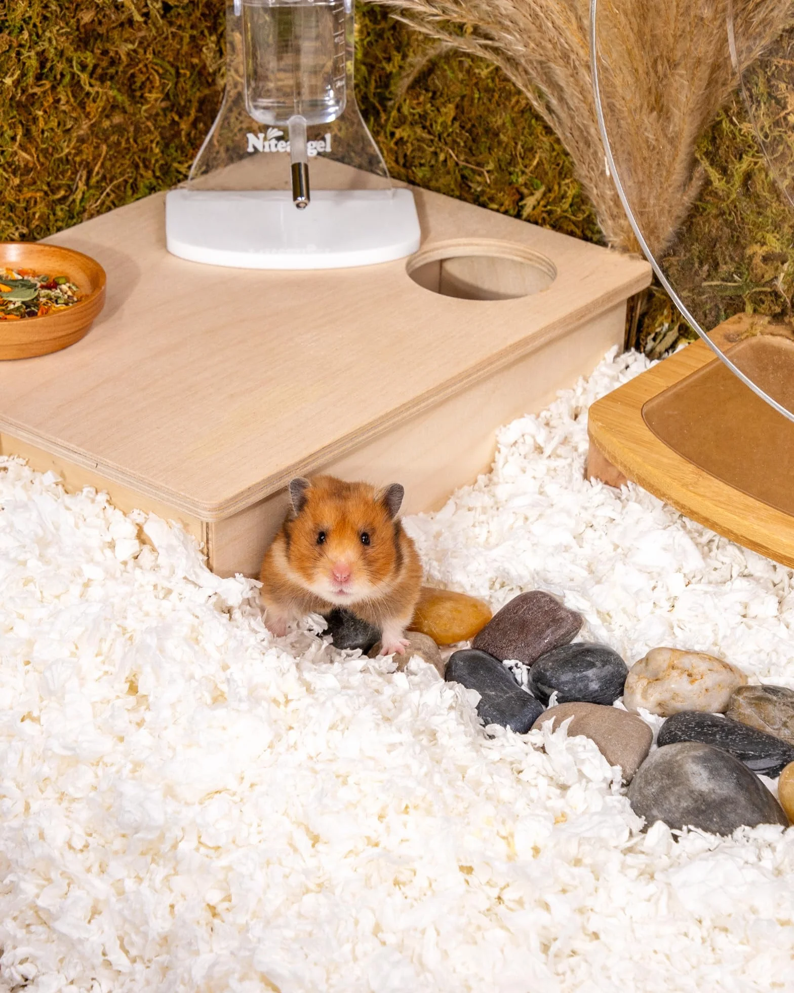 Niteangel Aspen - Ropa de Cama de hámster para hámster Enano Sirio, jerbo, ratón, Rata, Conejo, cobaya, Chinchilla, Erizo u Otras Mascotas pequeñas (65 L, Ropa de Cama de Papel Blanco)