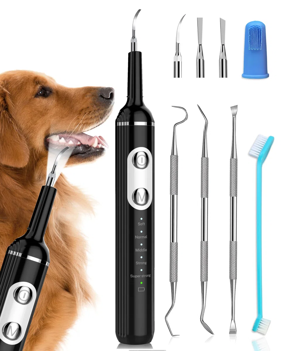 Stim-U-Dent Kit de limpieza dental ultrasónica para perro, limpiador dental para mascotas, para eliminar sarro y placa, con luz LED, cepillo de dientes para perros
