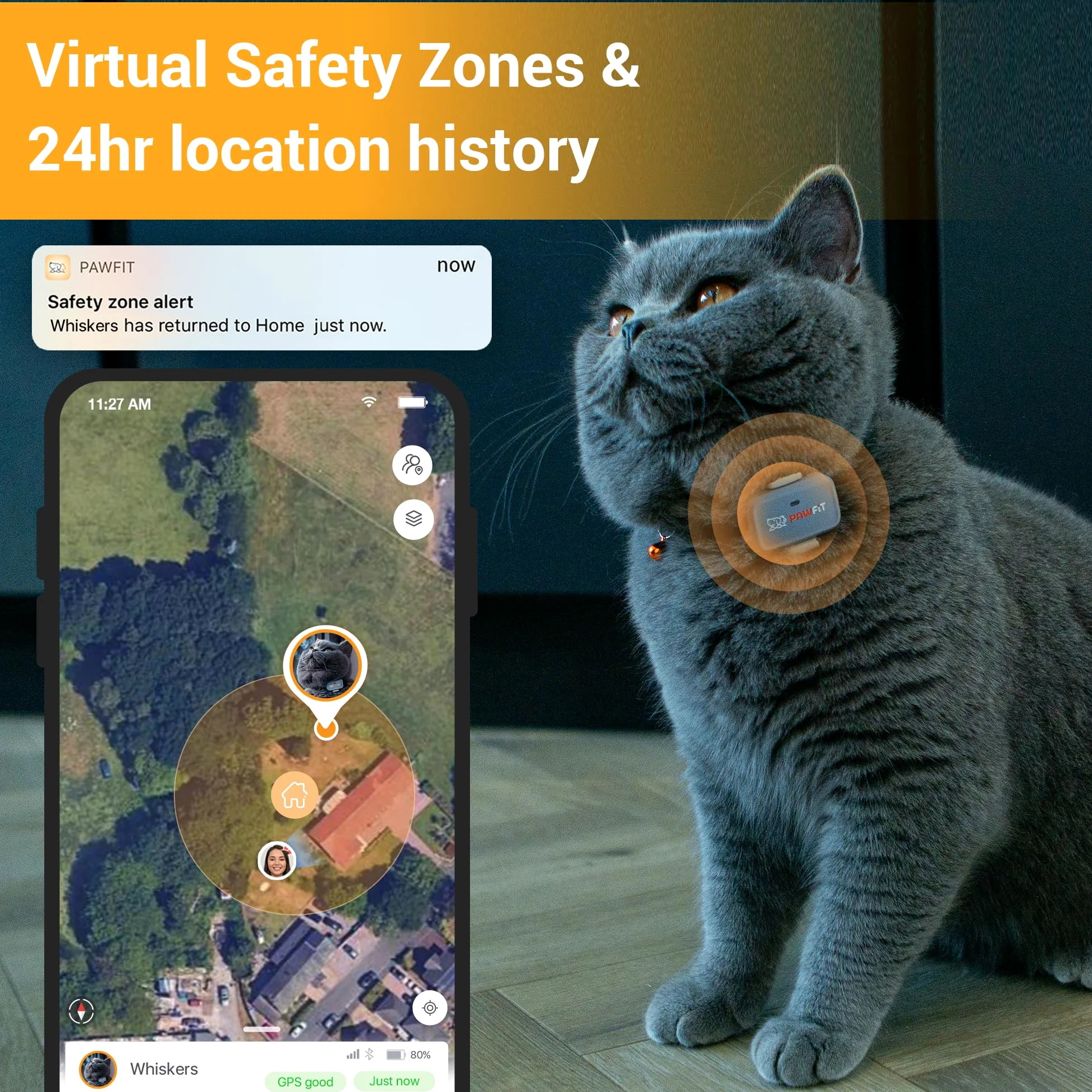 Pawfit Lite for Cats - Rastreador GPS 4g | Seguimiento en tiempo real | Monitoreo de actividad | Historial de ubicaciones | Alcance ilimitado | Collar de seguridad incluido | Simplemente blanco