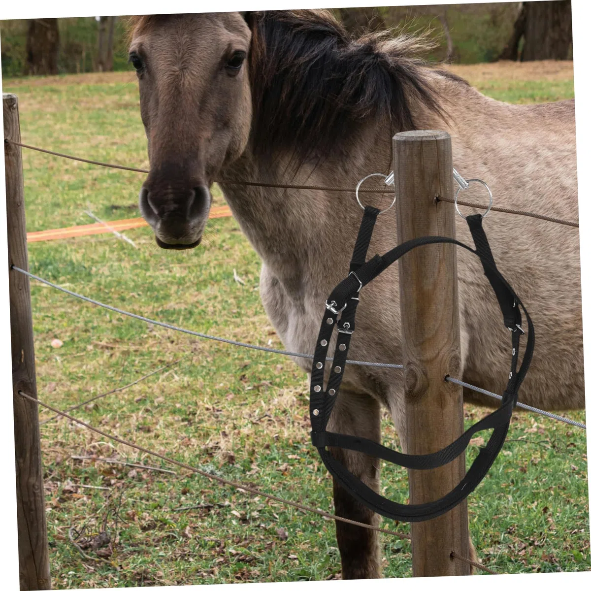 Cabestro de Cuerda Negro Pequeño de Nailon para Caballo