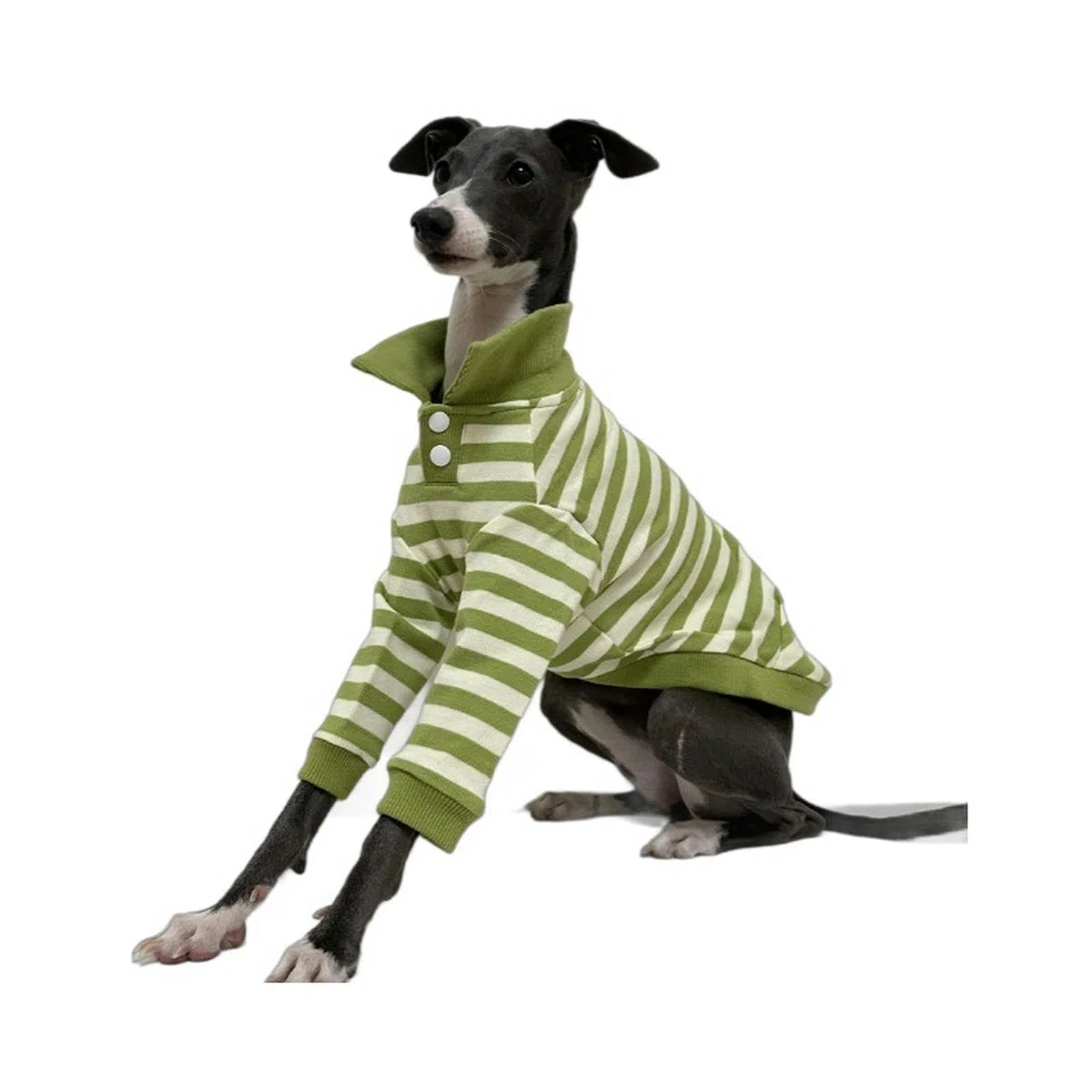 Camisas para Perros Polo para Perros a Rayas Transpirables con Cuello Polo y Mangas Ropa para Perros medianos Grandes Niño Niña Otoño Invierno Jersey para Perros Ropa para Galgos Italianos