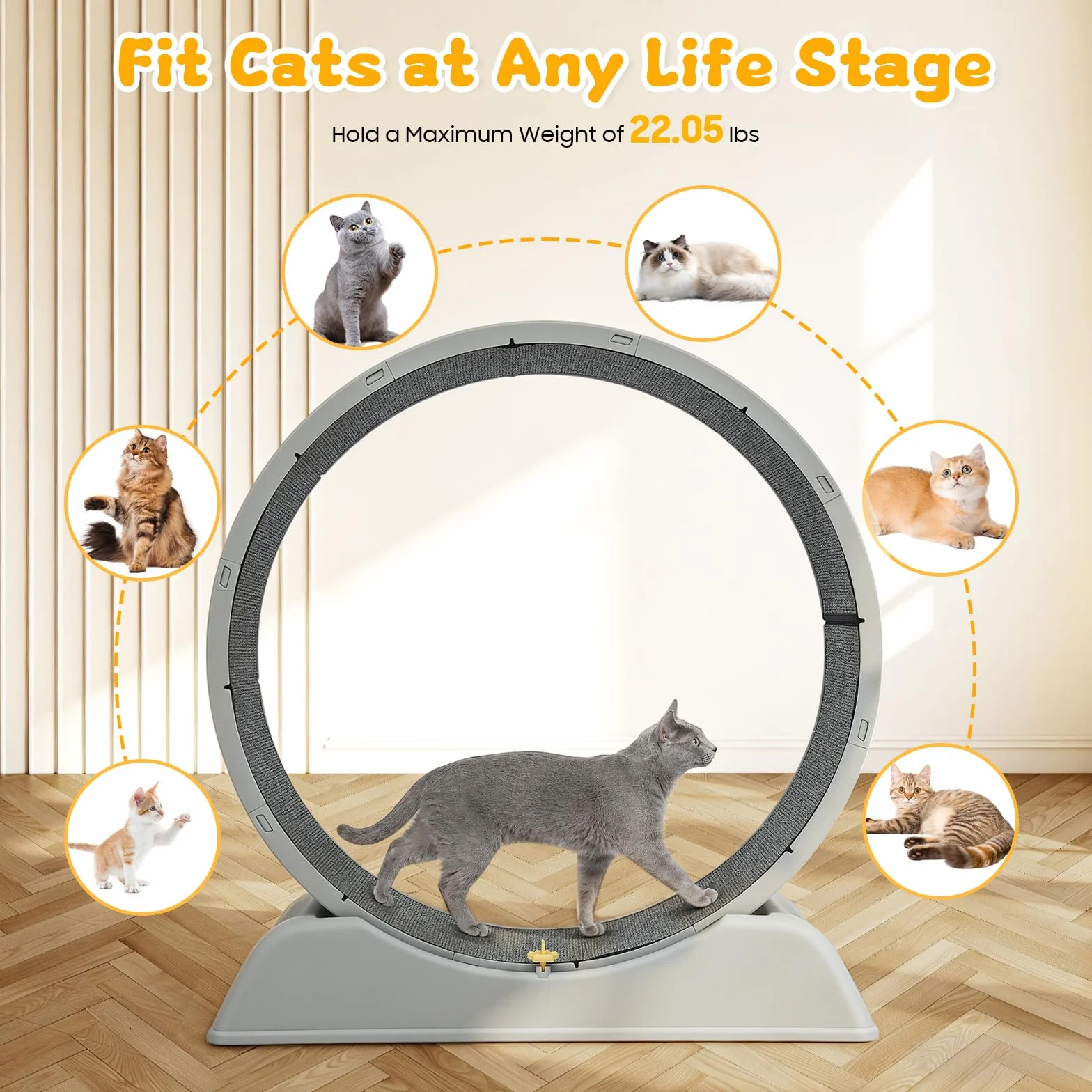 Cinta de correr gris para gatos, cinta de correr para gatos, juguete de empleo en interiores, para gatos domésticos, correr, caminar, entrenar (gris)
