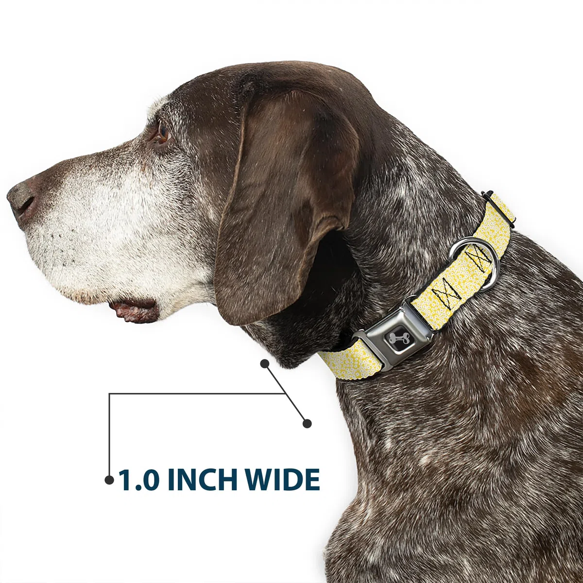 Buckle-Down DC-W33007-WS - Cinturón de Seguridad para Perro, tamaño pequeño, diseño Floral, Color Amarillo, Blanco y marrón