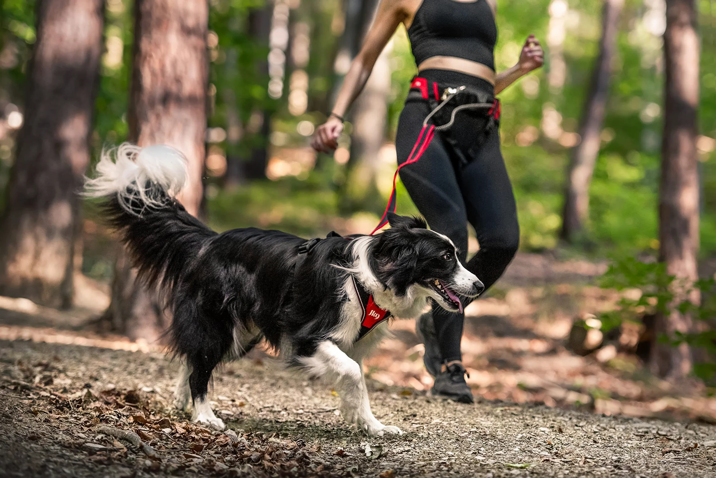 Julius-K9 JK9 Speed Belt, Rojo