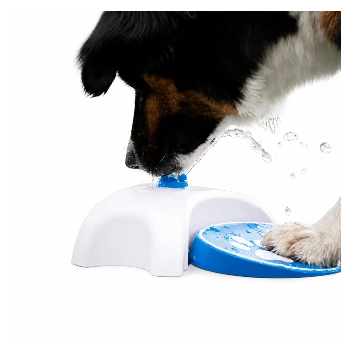 Fuente para Beber para Mascotas, Fuente De Agua para Perros con Manguera 162 Cm