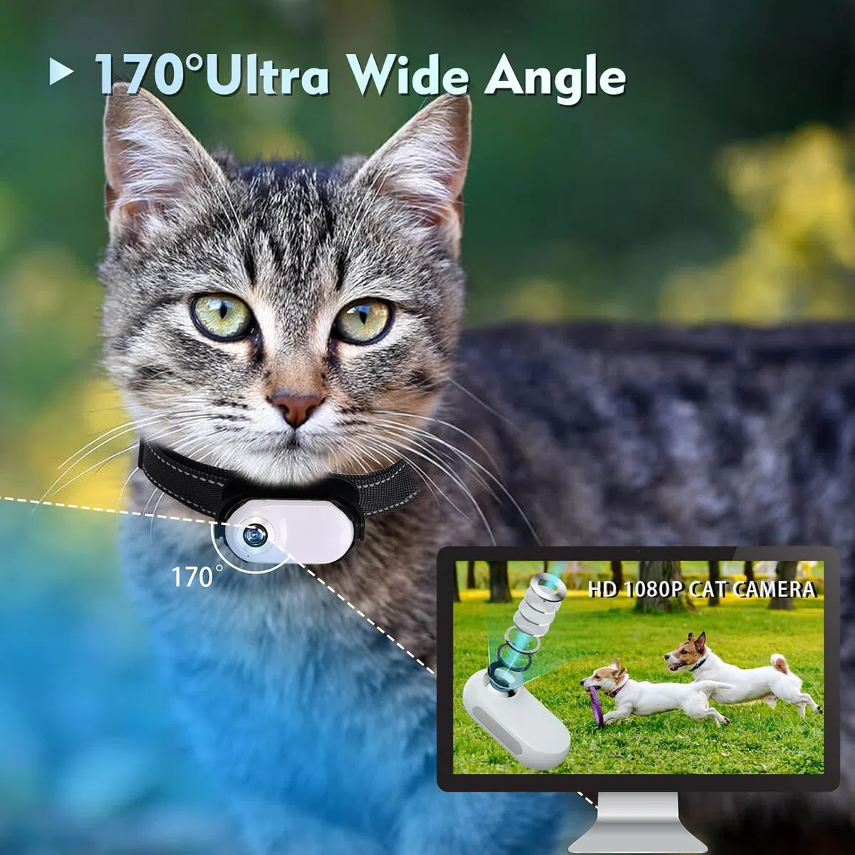128G Blanco Gato Cámara Collar Cámara para Mascotas | Cámara para mascotas con pinzas de cámara para perros y gatos