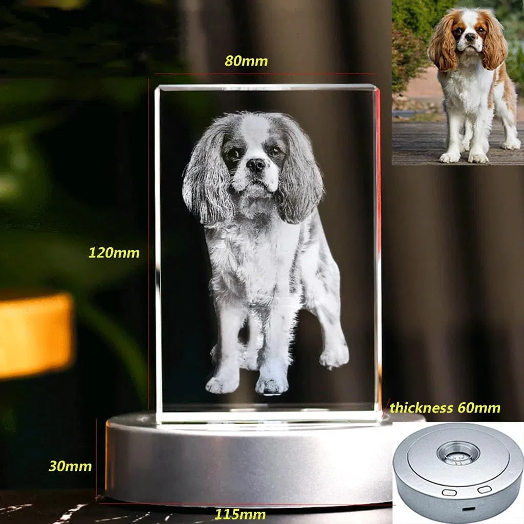 NALsa Tallado de Cristal, Fotos privadas 3D Personalizadas, Regalos conmemorativos para Mascotas para Amigos, Novias y Regalos Familiares