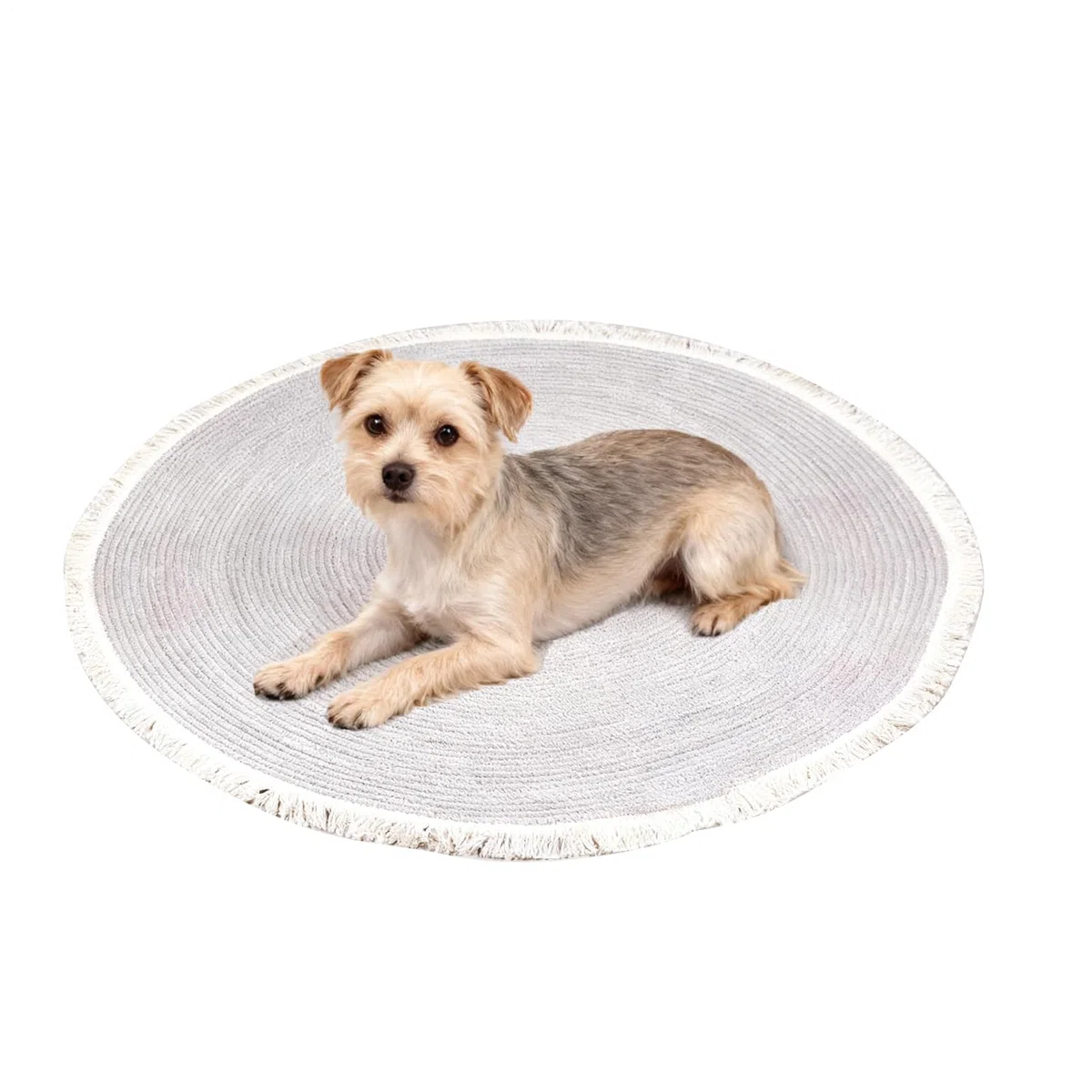 Alfombra para rascar Gatos – Alfombra de Cuerda de algodón con