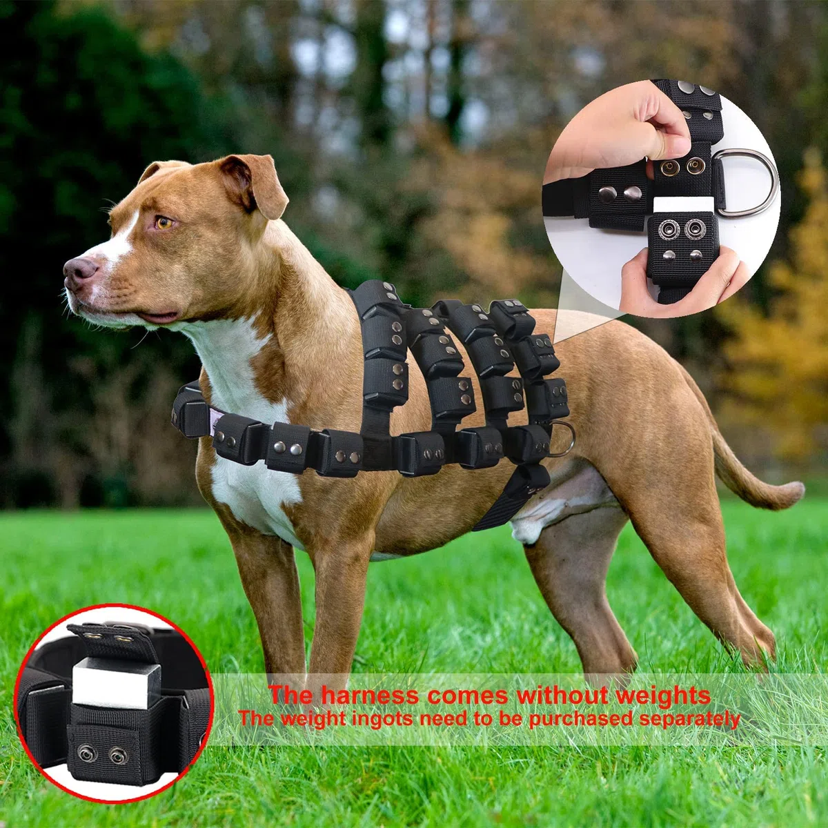 Arnés Antitirones para Perro Pequeño, Mediano y Grande - Chaleco Protector Militar con Bolsillos y Peso - Arnés Multifuncional