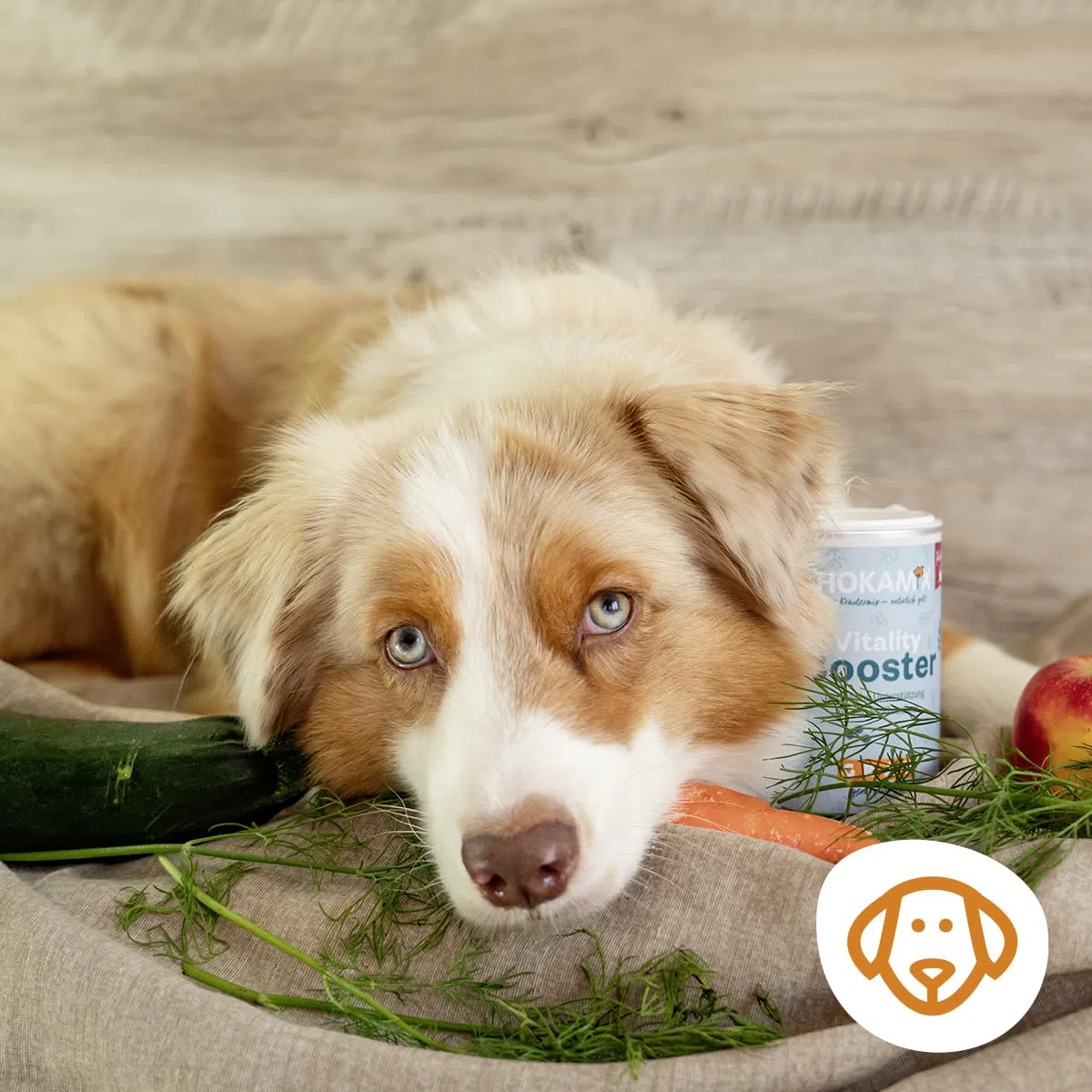 GRAU - El Original - Hokamix Vitality Booster Snack Maxi, Pack Individual (1 x 4,5 kg), alimento complementario para Perros