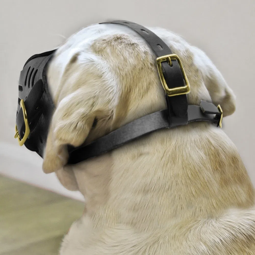 Bozal De Cuero Genuino para Perros Bozal Ajustable para Perros Suministros para Entrenamiento para Evitar Morder Masticar Y Ladrar