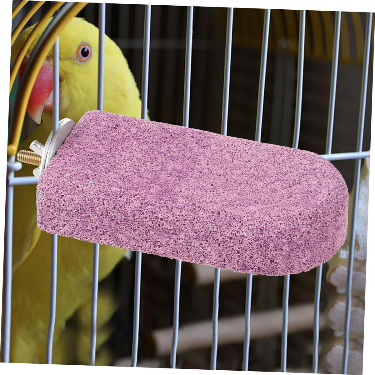 HANABASS 4piezas Perchero De Molienda para Pájaros Soporte De Descanso para Cockatiels y Aves Juguete Masticable De Calcio para Jaulas y Entrenamiento De Mascotas