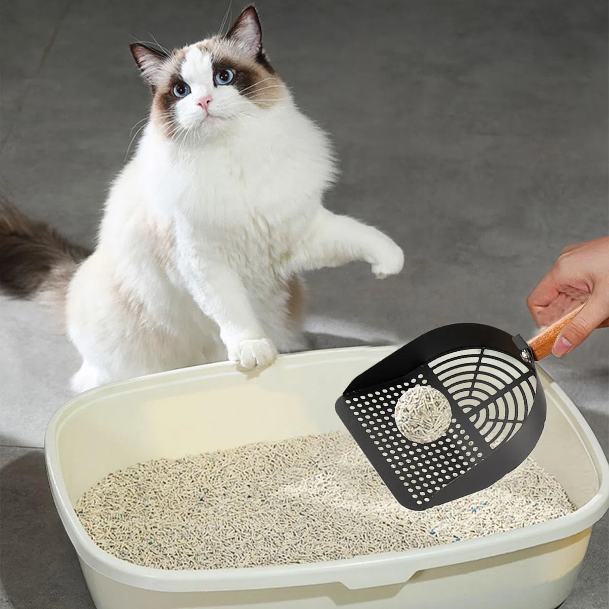 Pala para Arena de Gato, Raspador de Acero Inoxidable, Herramienta Limpieza Robusta for Uso doméstico y higiene óptima en Viajes(Hole Style High Carbon Steel Resistant to)