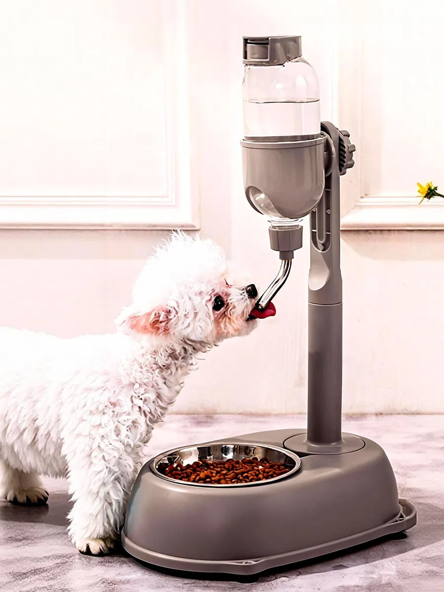 Dispensador de agua para mascotas, cuenco dispensador de agua de pie para mascotas, 2 en 1, 500 ml, altura desmontable multifuncional, poste de agua automático con soporte para perros y gatos