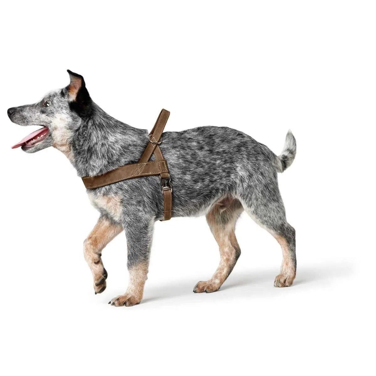 HUNTER Arnés Norwegian para Perros de Caza, 45 x 58-79 cm, Color marrón
