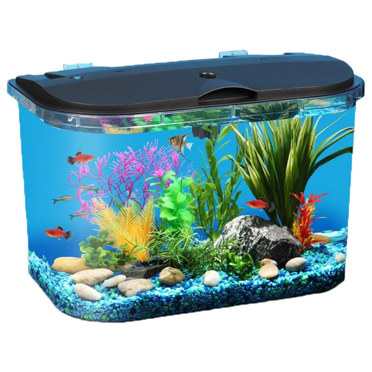 Koller Products Kit de acuario de 5 galones con iluminación LED y filtro de potencia, ideal para una variedad de peces tropicales