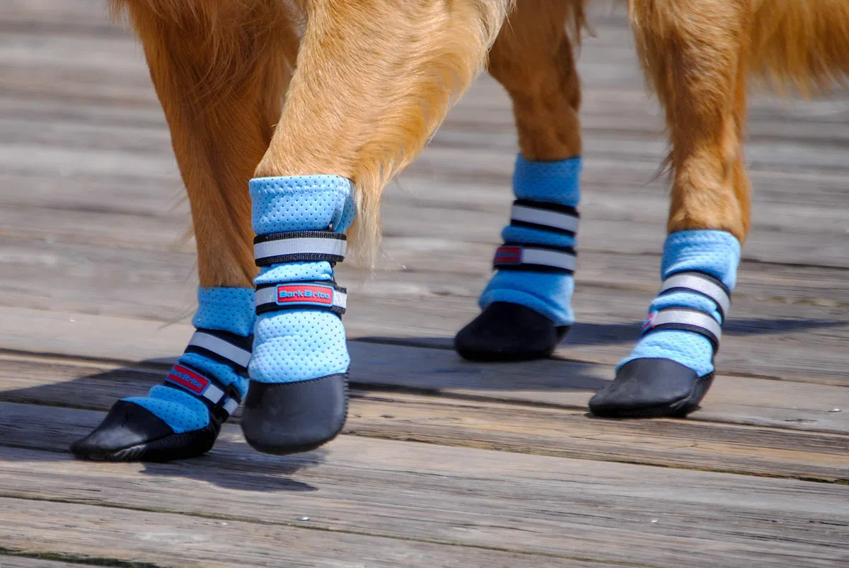 Bark Brite - Botas Protectoras de Neopreno para Perro diseñadas para Comodidad y transpirabilidad en 5 tamaños
