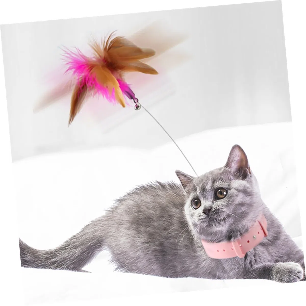 Toyvian Collar De Juguete para Gatos Juguete para Mascotas Gatos para Gatitos Mordeduras