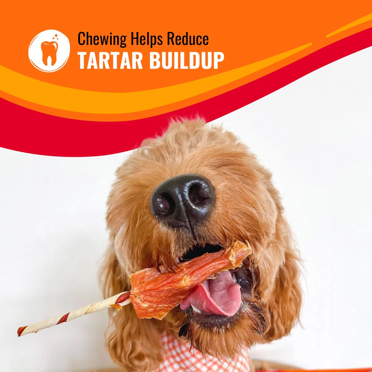Good'n'Fun - Brochetas de cuero crudo con triple sabor para perros, 3 libras (paquete de 4)
