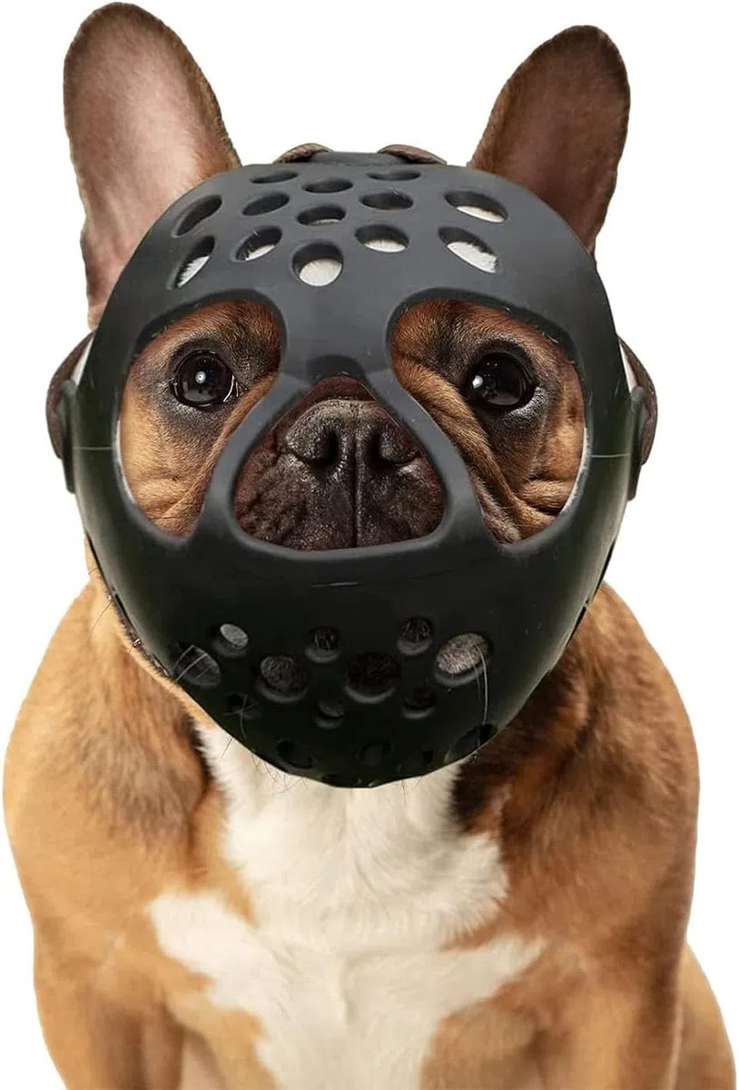 Bozal para Perros, Perros medianos y Grandes, Silicona Suave para, Transpirable Ajustable Anti-mastica, mastica, ladra(M)
