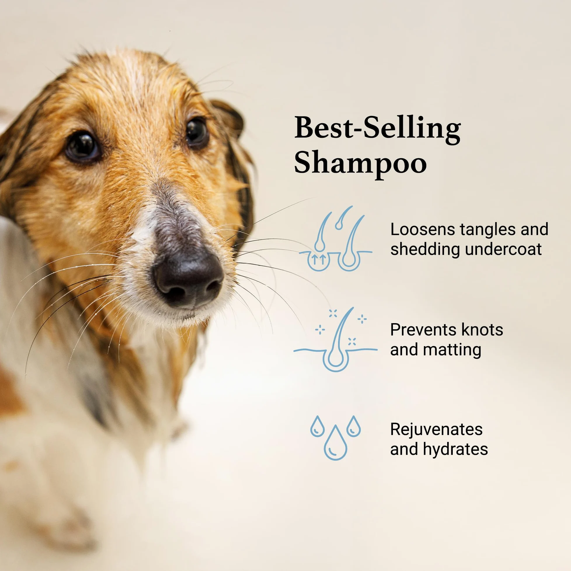 iGroom Champú desenredante y desenredante para perros, cuidado de belleza de mascotas de lujo, afloja los enredos + capa inferior no deseada, añade brillo y volumen, fabricado en Estados Unidos, 3.8 L